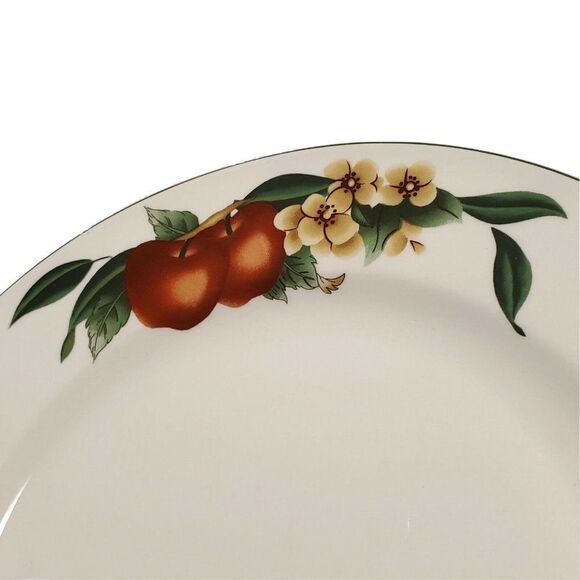 SET 2 WSP Stoneware Dinner Plates From The Cades Creek Collection Apple Pattern - Picture 3 of 5